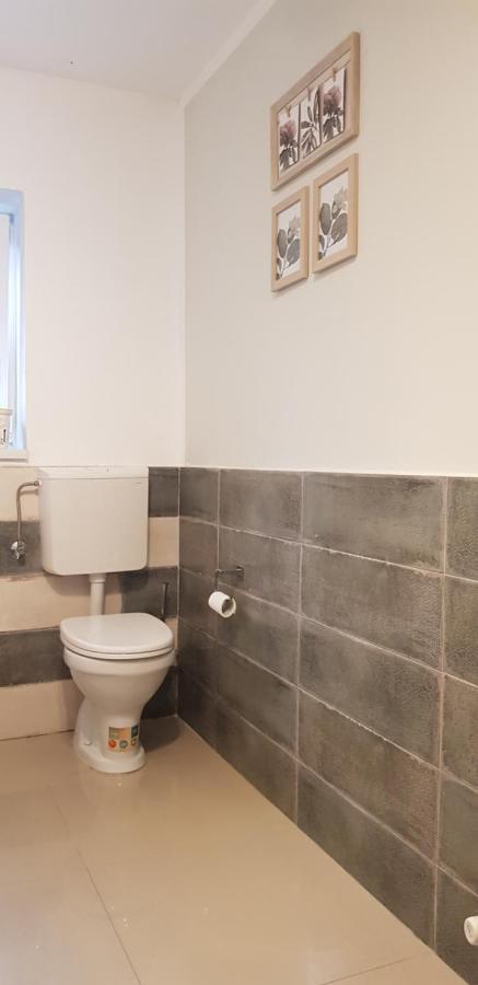 Casa Zorilor Cluj Apartment Luaran gambar